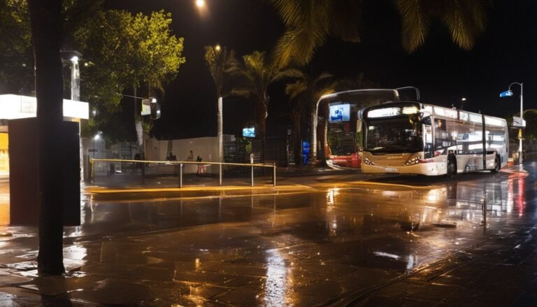 Public Transportation and Mobility in Playa Flamenca